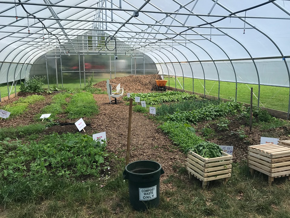 Hoop house with plants growing