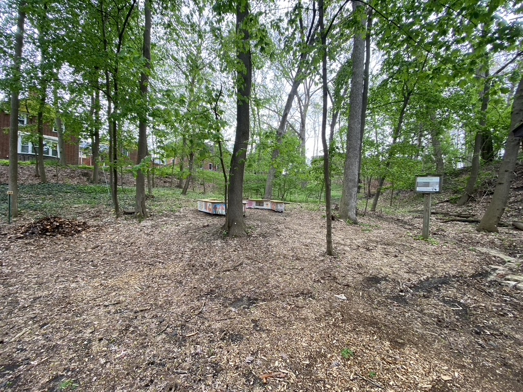 Forested area with benches and a sign